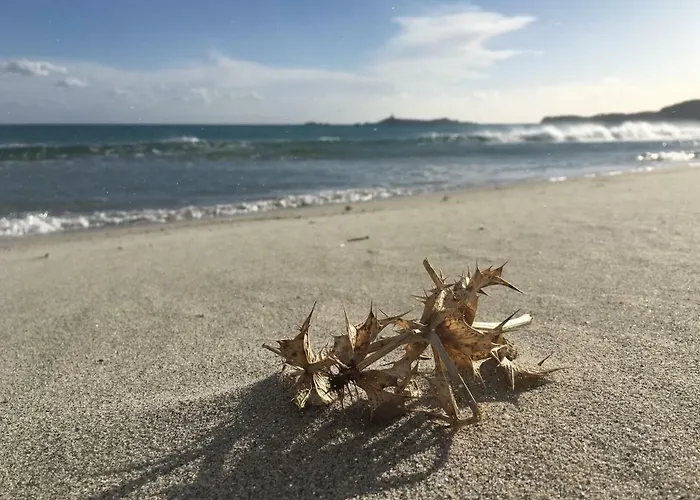 Daire Rokkaria Holidays *