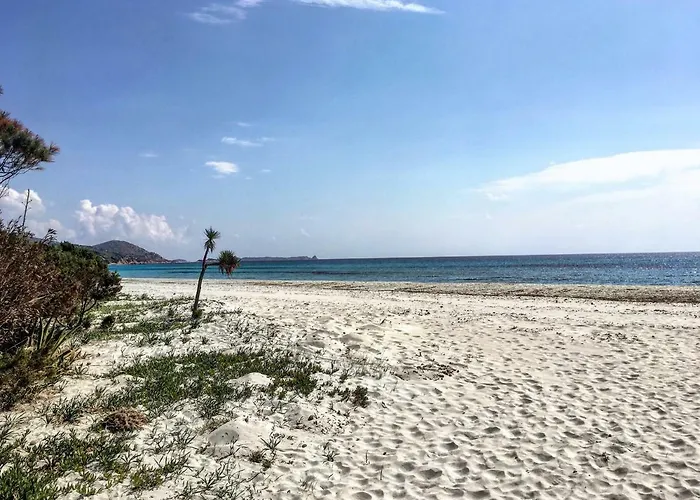 Daire Rokkaria Holidays *